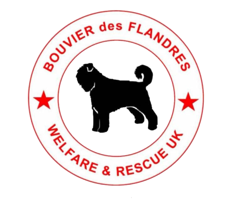 Bouvier Welfare